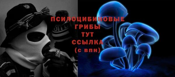 МДПВ Коряжма